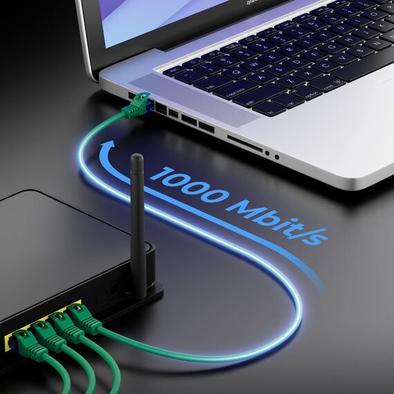 deleyCON 1m CAT.6 Ethernet Gigabit Lan Netzwerkkabel RJ45 CAT6 Kabel Patchkabel Kompatibel zu CAT.5 CAT.5e CAT.6a Cat.7 - Grün
