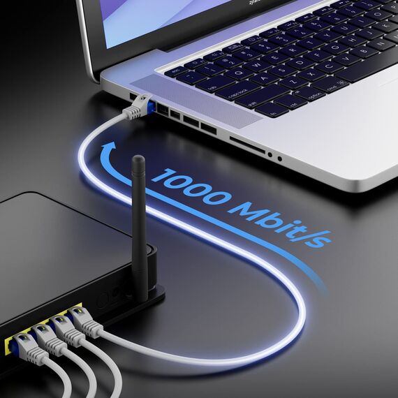 deleyCON 3,0m CAT.6 Ethernet Gigabit Lan Netzwerkkabel RJ45 CAT6 Kabel Patchkabel Kompatibel zu CAT.5 CAT.5e CAT.6a Cat.7 - Grau