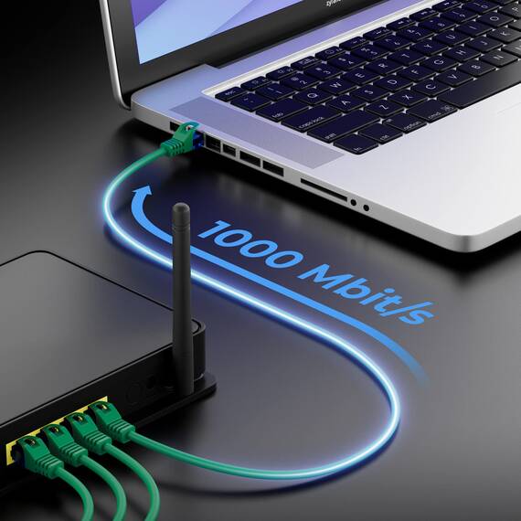 deleyCON 30m CAT.6 Ethernet Gigabit Lan Netzwerkkabel RJ45 CAT6 Kabel Patchkabel Kompatibel zu CAT.5 CAT.5e CAT.6a Cat.7 - Grün