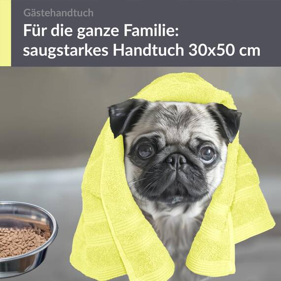 Lashuma Handtuch 30x50 cm in Anis – Grün, London Kleines Gästehandtuch aus Baumwolle, Ideal für Gäste oder als Handtuch für Kinder