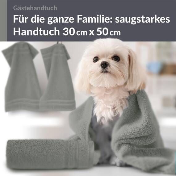 Lashuma 4X kleine Gästehandtücher 30x50 cm, London Gästetuch Set kleine Handtücher Grau - Stein