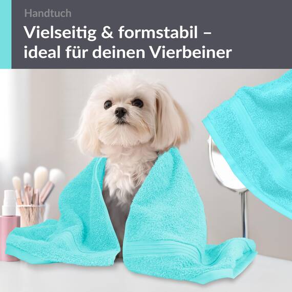 Lashuma 2er Flauschiges Handtücher Set 50x100 cm, Linz flauschig und saugstarkes Frottierhandtuch Türkis