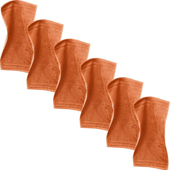 Erwin Müller Gästetuch Heidelberg 6er- Pack, 100% Baumwolle Terra Größe 30x50 cm - weiche Qualität, saugstark und strapazierfähig - praktisch durch Schlaufe
