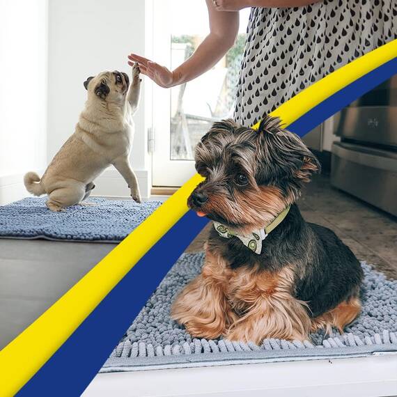 Muddy Mat® AS-SEEN-ON-TV Highly Absorbent Microfiber Door Mat and Pet Rug, Non Slip Thick Washable Area and Bath Mat Soft Chenille for Kitchen Bathroom Bedroom Indoor and Outdoor - Baby Blue 24"X36"