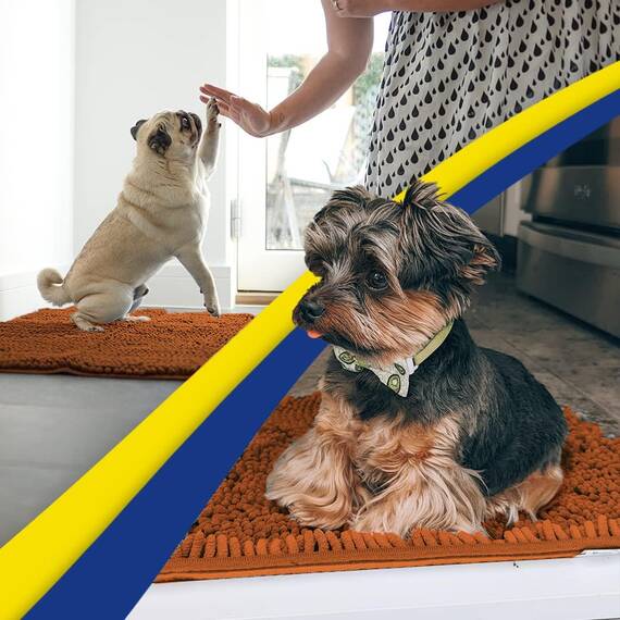 Muddy Mat® AS-SEEN-ON-TV Hunde-Fußmatte und Haustierteppich, hochsaugfähige Mikrofaser, rutschfest, dick, waschbar, weicher Chenille, für Küche, Badezimmer, Schlafzimmer und Innenbereich, Orange
