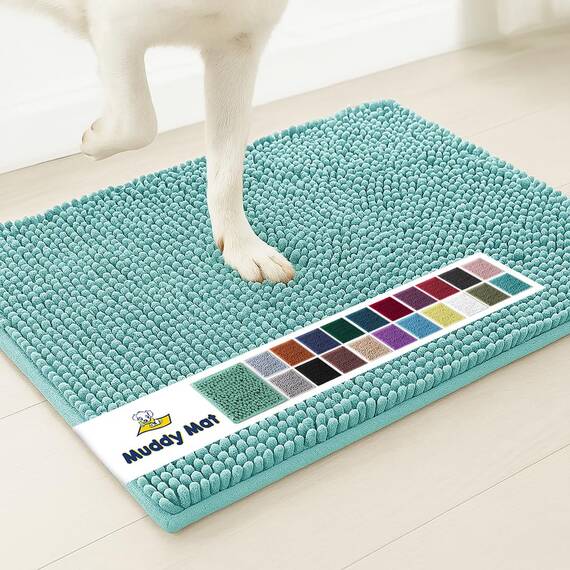 Muddy Mat Badezimmerteppiche, sehr saugfähig, rutschfest, dicke zottelige Mikrofaser-Willkommens-Fußmatte, extra weicher Chenille-Teppich für Küche, Haustierteppiche (klein, Eierschalenblau)
