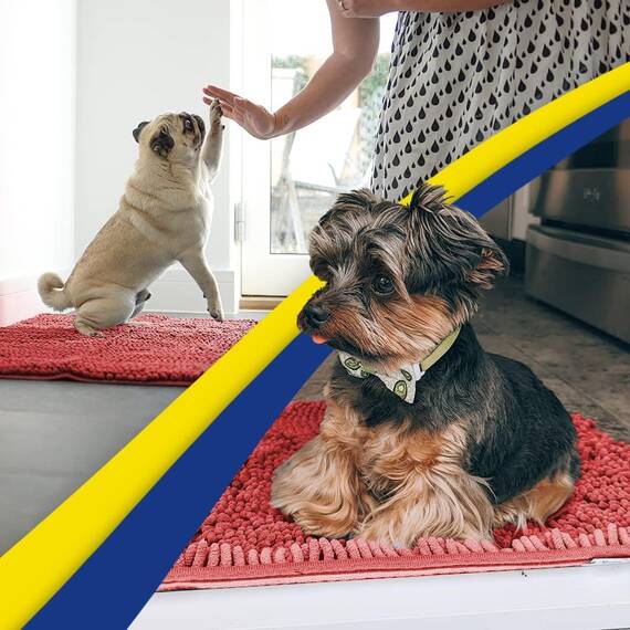 Muddy Mat® Super saugfähige Fußmatte für den Innenbereich, Mikrofaser, schnell trocknend, Chenille-Eingangsteppich, rutschfeste Haustürmatte, Innenmatten für den Eingangsbereich, maschinenwaschbar