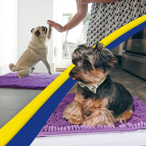 Muddy Mat® Super saugfähige Fußmatte für den Innenbereich, Mikrofaser, schnell trocknend, Chenille-Eingangsteppich, rutschfeste Haustürmatte, Innenmatte, maschinenwaschbar, Haustierteppich, Lila, 61 x