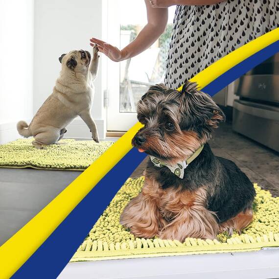 Muddy Mat® | Super Absorbent Door Mat Indoor, Microfiber Quick Dry Chenille Entryway Rug, Non-Slip Front Door Mat, Indoor Mats for Entryway, Machine Washable Pet Rug, Yellow 24"x36"