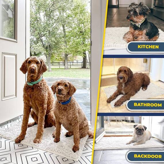 Muddy Mat® | Super Absorbent Door Mat Indoor, Microfiber Quick Dry Chenille Entryway Rug, Non-Slip Front Door Mat, Indoor Mats for Entryway, Machine Washable Pet Rug, White 24"x36"