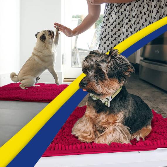 Muddy Mat® Super saugfähige Fußmatte für den Innenbereich, Mikrofaser, schnell trocknend, Chenille-Eingangsteppich, rutschfeste Haustürmatte, Innenmatten für den Eingang, maschinenwaschbar