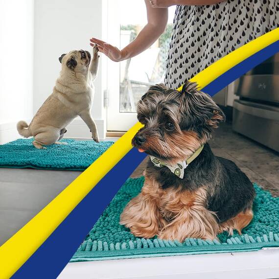 Muddy Mat® Super saugfähige Fußmatte für den Innenbereich, Mikrofaser, schnell trocknend, Chenille-Eingangsteppich, rutschfeste Haustürmatte, Innenmatte, maschinenwaschbar, Haustierteppich, Blaugrün