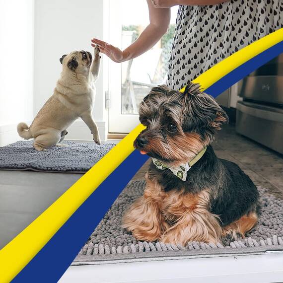 Muddy Mat® Super saugfähige Fußmatte für den Innenbereich, Mikrofaser, schnell trocknend, Chenille-Eingangsteppich, rutschfeste Haustürmatte, Innenmatten für den Eingangsbereich, maschinenwaschbar