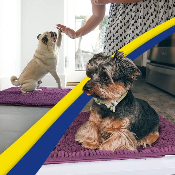 Muddy Mat® Super saugfähige Fußmatte für den Innenbereich, Mikrofaser, schnell trocknend, Chenille-Eingangsteppich, rutschfeste Haustürmatte, Innenmatten für den Eingangsbereich, maschinenwaschbar