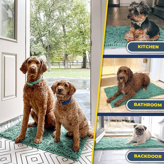 Muddy Mat® | Super Absorbent Door Mat Indoor, Microfiber Quick Dry Chenille Entryway Rug, Non-Slip Front Door Mat, Indoor Mats for Entryway, Machine Washable Pet Rug, Sea Green 36"x60"