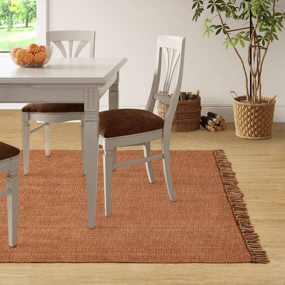 Collive Comfy Area Teppich, 1,2 x 1,8 m, Terra-gewebte Baumwolle, Schlafzimmer, Teppiche, moderner Innen-Akzent-Teppich, Bodenteppich mit Quaste für Wohnzimmer, Kinderzimmer, Esszimmer, Nachttisch