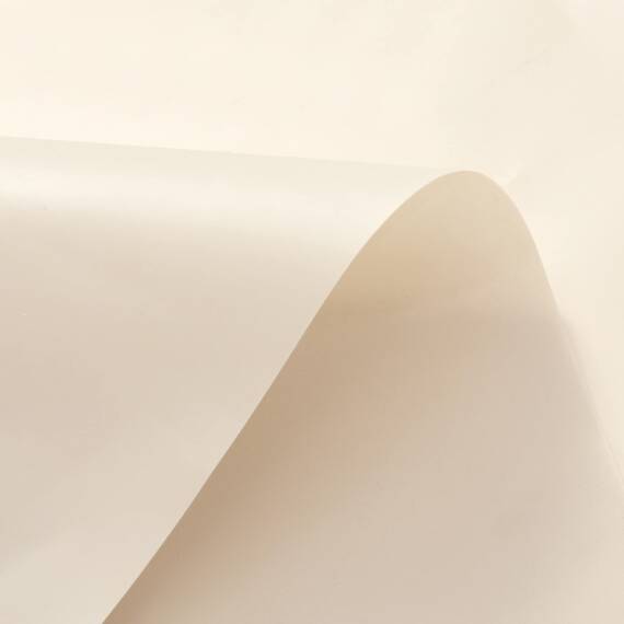 Barossa Design innerer Duschvorhang mit 6 Magneten, wasserdicht, PEVA-Duschvorhangeinlage für Badezimmer, 182,9 x 182,9 cm, Standardgröße, PVC-frei, Metallösen, Beige