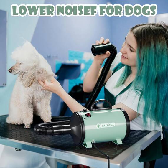 TAIKOUL Hundefön Blower Sehr Leise 4.5 PS / 3200W Motor Einstellbare Geschwindigkeit, Hundepflege-Trockner-Gebläse Pet Hair Dryer
