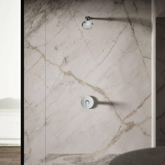 Kohler K-10282-Ak-Cp Forte Duschkopf mit 1 Funktion, Chrom poliert