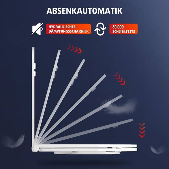 Rainsworth Wand WC Spülrandlos - Hänge Toilette Kraftvolle Spülung, mit effizienter Spültechnik, Kloschüssel inklusive WC-Sitz mit Absenkautomatik und Schnellspanner, Weiß, 48,5 cm