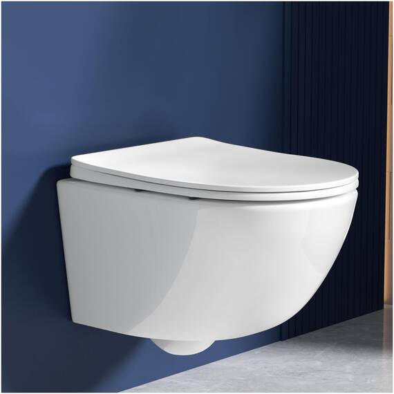 Rainsworth Wand WC Spülrandlos - Hänge Toilette Kraftvolle Spülung, mit effizienter Spültechnik, Kloschüssel inklusive WC-Sitz mit Absenkautomatik und Schnellspanner, Weiß, 48,5 cm