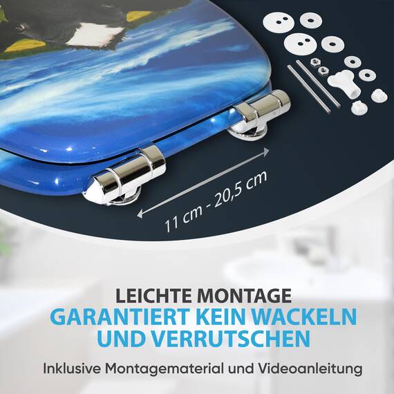 Sanilo WC Sitz mit Absenkautomatik, viele neue Toilettendeckel zur Auswahl, hochwertige Oberfläche, einfache Montage, stabile Scharniere (Kuhkopf)