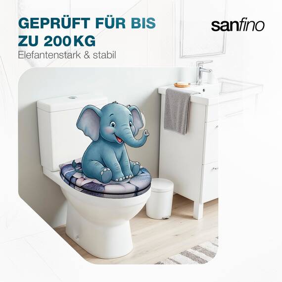 SANFINO® Premium WC Sitz mit Absenkautomatik – hochwertige Toilettendeckel aus Holz, viele bunte Motive, hoher Sitzkomfort, einfache Montage inklusive Montageanleitung – "Stones"