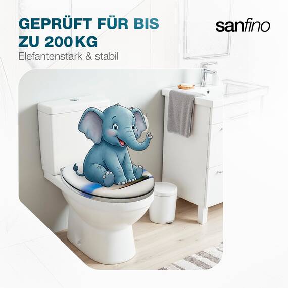 SANFINO® Premium WC Sitz mit Absenkautomatik – hochwertige Toilettendeckel aus Holz, viele bunte Motive, hoher Sitzkomfort, einfache Montage inklusive Montageanleitung – "Cairn II"