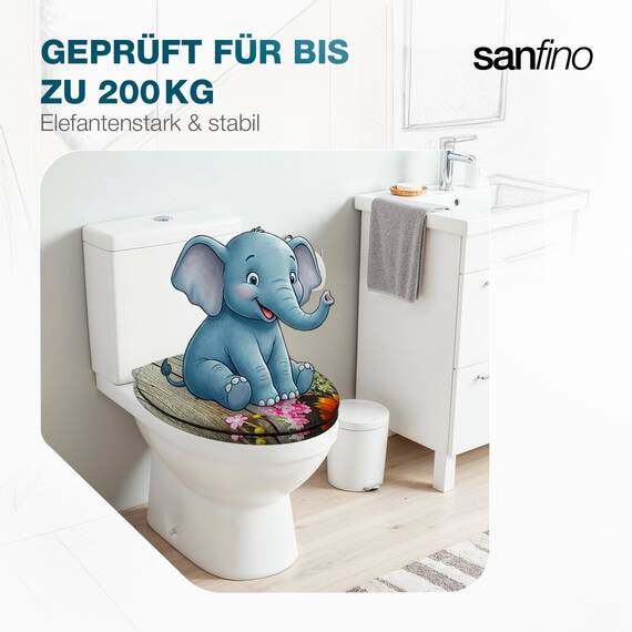 SANFINO® Premium WC Sitz mit Absenkautomatik – hochwertige Toilettendeckel aus Holz, viele bunte Motive, hoher Sitzkomfort, einfache Montage inklusive Montageanleitung – "Alp Meadow"