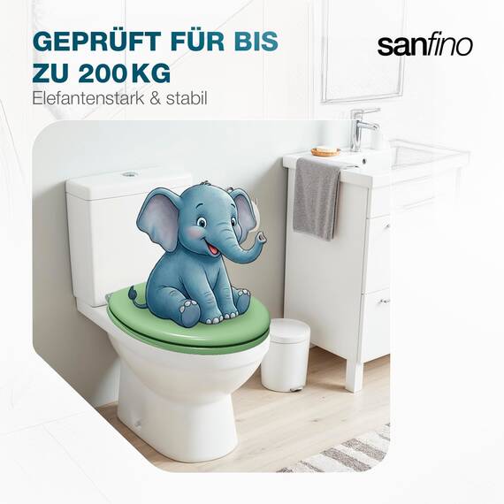 SANFINO® Premium WC Sitz mit Absenkautomatik – hochwertige Toilettendeckel aus Holz, viele bunte Motive, hoher Sitzkomfort, einfache Montage inklusive Montageanleitung – "Mint Green"