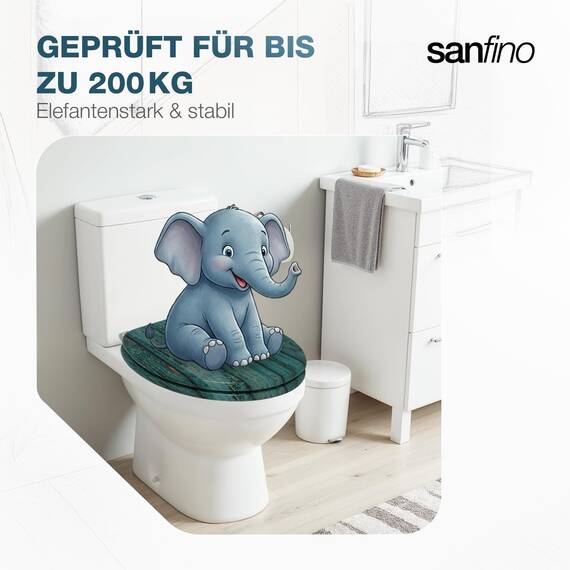 SANFINO® Premium WC Sitz mit Absenkautomatik – hochwertige Toilettendeckel aus Holz, viele bunte Motive, hoher Sitzkomfort, einfache Montage inklusive Montageanleitung – "Shabby Chic"