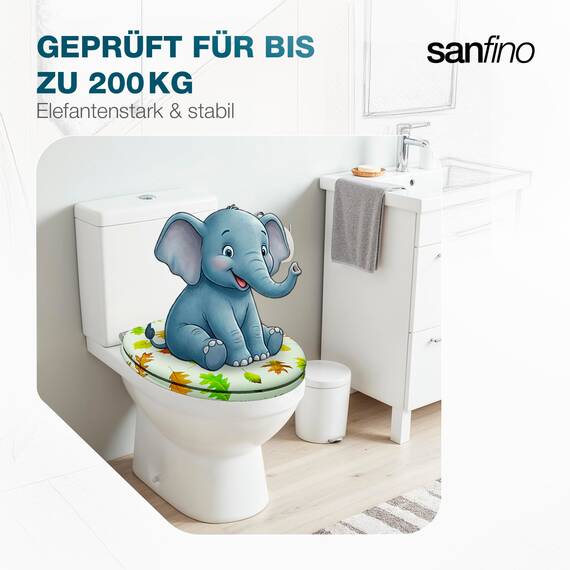SANFINO® Premium WC Sitz mit Absenkautomatik – hochwertige Toilettendeckel aus Holz, viele bunte Motive, hoher Sitzkomfort, einfache Montage inklusive Montageanleitung – "Autumn Feeling"