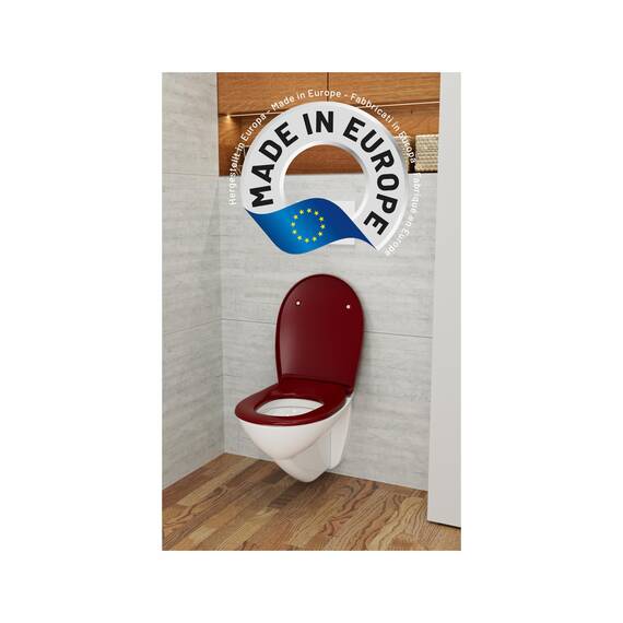 LUVETT® WC-Sitz mit Absenkautomatik C100 oval universell, Toilettendeckel mit 3 Edelstahl Montagelösungen, Klodeckel abnehmbar, Farbe:Bordeaux Rot
