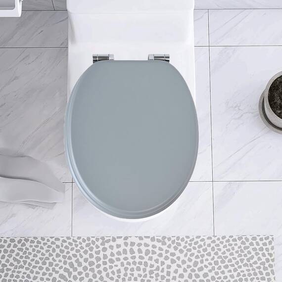 SINOBATH D-Förmiger Premium-Duroplast Toilettensitz mit Edelstahl-Scharnieren & Sanftschließ-Funktion (Weiß)