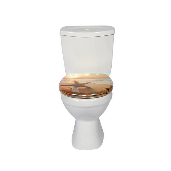 SINOBATH Design WC-Sitz mit Motiv, Soft-Close, Duroplast, Einfache Montage, Quick-Release, UV-beständig