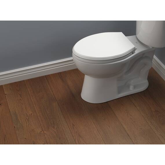 Delta Faucet 811901-WH Wycliffe Elongated Slow-Close Toilet Seat, White by DELTA FAUCET