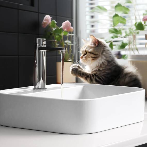 EMKE Waschbecken Aufsatzwaschbecken - Hängewaschbecken für Badezimmer & Gäste-WC - 70 × 40 × 11 cm Keramikwaschbecken Weiß