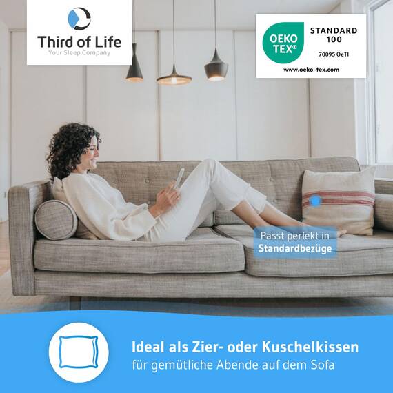 Kissen 45x45 inSPIRO, Premium Kissen von Schlafexperten entwickelt, Kleines Zierkissen - Made in EU, Extra weiche Kissenfüllung zum Schlafen, Kuschelkissen für Sofa, Couch, 95° waschbar, Sofakissen