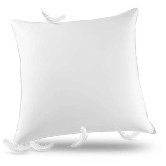 DEITAS AiAngu Daunenkissen flauschig 79.99x79.99 2er - 3-Kammer Design für optimalen Nackenstütz, weiche & atmungsaktive 100% Baumwollbezug - CP(Weiß)