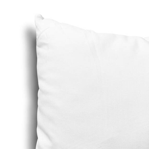 EDOW Kisseneinlagen, 4 Stück, leichte Daunen-Alternative Polyester-Kissen, Couch-Kissen, Kissenfüllung, maschinenwaschbar, Weiß, 45,7 x 45,7 cm