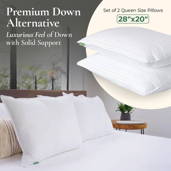 Fern and Willow Kopfkissen 51x76 aus Baumwolle mit Daunen-Alternative - 2er-Set kühlende Kissen für Rücken- & Seitenschläfer in Premium-Hotelqualität