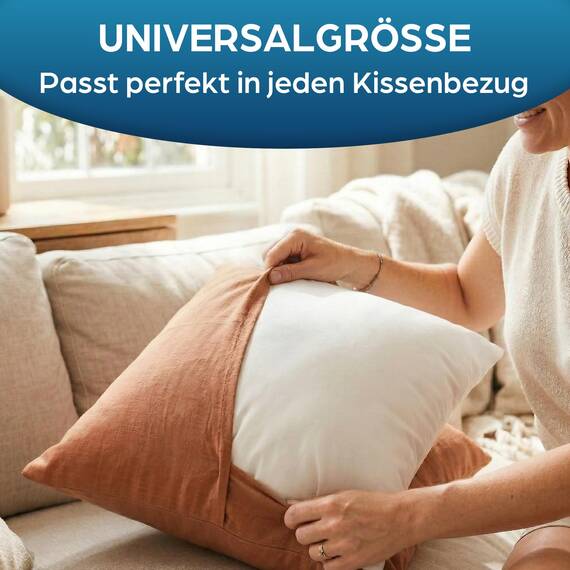 Flowen Kissen 30x30 Kopfkissen 2er Set für Sofa und Bett Innenkissen Hypoallergene Anti-Milben Kissenfüllung mit Weicher Gesteppter Kissenbezug 100% Polyester für Haus/Hotel