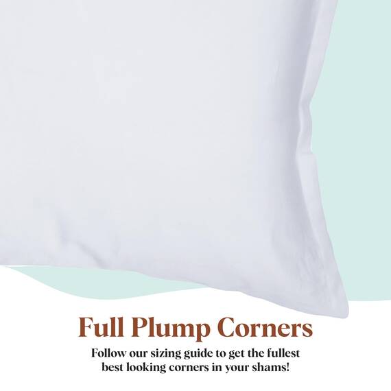 Pillowflex Premium Polyester-Kisseneinsatz – 35,6 x 50,8 cm Kissenform – maschinenwaschbar, Akzent-Wurfeinsatz, Lendenkissen für Kissenbezug – Rücken, Reisekissen, Nackenkissen – 1 dekoratives Kissen