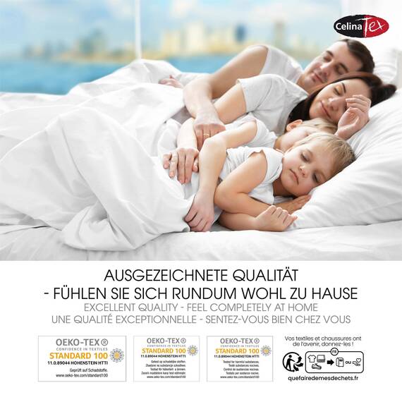 CelinaTex Jersey Topper Spannbettlaken Lucina Doppelpack 200x200-200x220cm dunkel grau 100% Baumwolle gekämmt bis 12cm Matratzenhöhe Spannbettbezug, Leintuch, Bettlaken, elastisch, Strech, Oeko-Tex