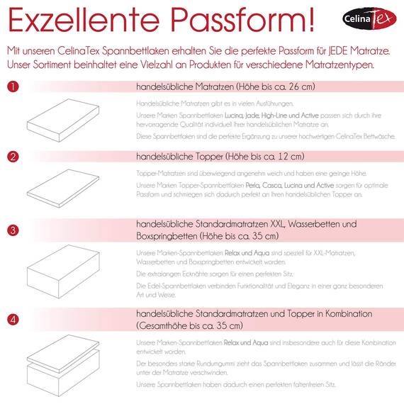 CelinaTex Jersey Spannbettlaken Lucina 200x200-200x220cm Schnee weiß 100% Baumwolle gekämmt bis 26cm Matratzenhöhe Spannbettbezug, Leintuch, Bettlaken, elastisch, Strech, Oeko-Tex