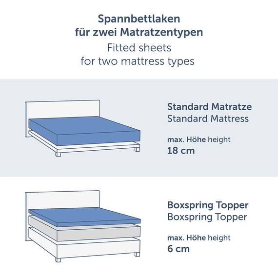 Blumtal Basics - Lenzuolo Con angoli elasticizzati in 100% Cotone (90 x 200 x 25 cm - Set di 2, Antracite)
