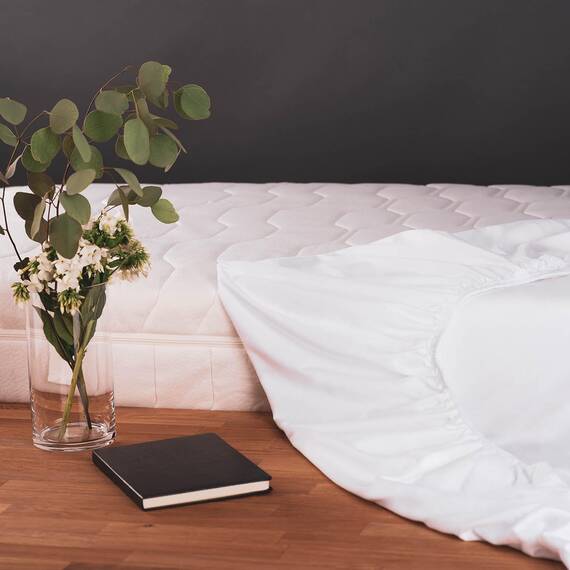 Blumtal® Baumwolle Spannbettlaken Basics Jersey - Oeko-TEX Bettbezug - 150x200cm Spannbetttuch - Matratzenbezug - Weiß
