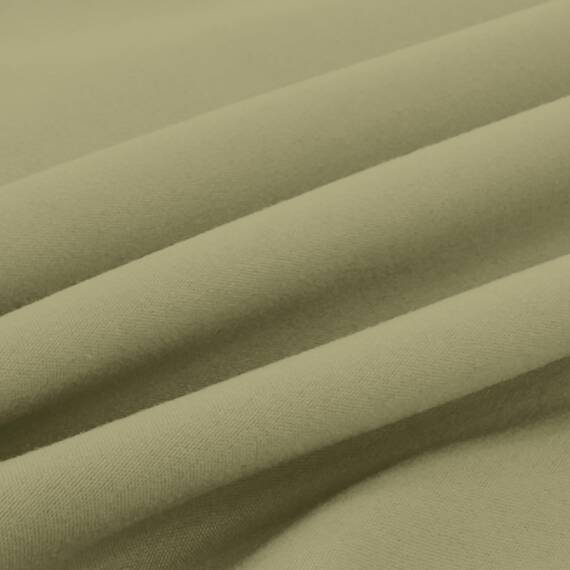 Elegant Comfort Luxuriöses, ultraweiches 2-teiliges Kissenbezug-Set, 1500 Premium-Mikrofaser in Hotelqualität, doppelt gebürstet, knitterfrei, Standard/Queen, Salbei/Grün