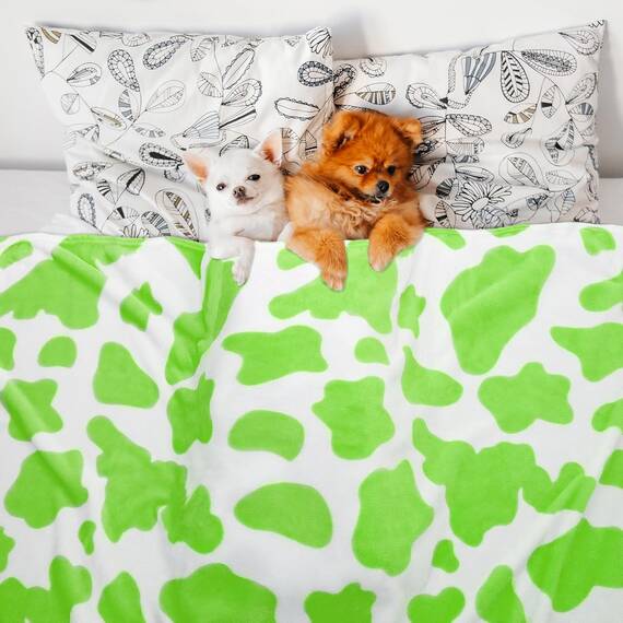 HSEEC Grüne Überwurfdecke, Fleece, gemütliche Decken und Überwürfe, weiche Überwurfdecken für Couch