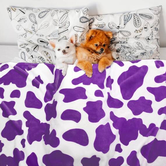 HSEEC Fleecedecke für King-Size-Bett – violette Überwurfdecke, weich, gemütlich, leicht, Plüsch-Bettwäschedekoration für alle Jahreszeiten, Lavendel-Geschenke für Frauen, Mädchen, 228,6 x 274,3 cm